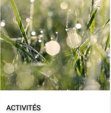 ACTIVITE