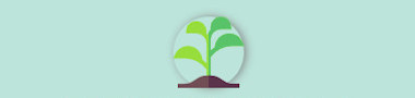 developpement-image
